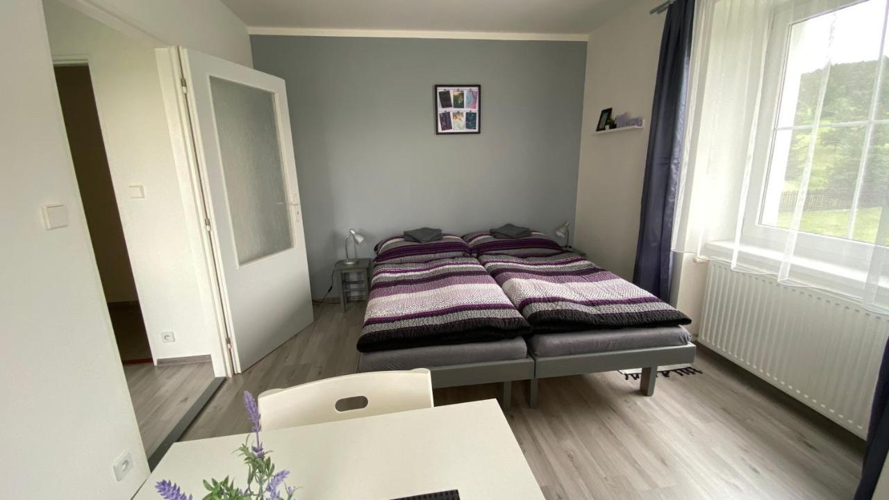 Penzion Kamejk Kamyk nad Vltavou Екстериор снимка
